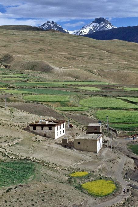 D:\DataFoto\Dia's - Reizen\1995-07-16 Ladakh\04 Spitivallei\Best Of\Ldak0206y.jpg