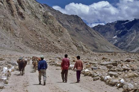 D:\DataFoto\Dia's - Reizen\1995-07-16 Ladakh\05 Naar Leh\Best Of\Ldak0289y.jpg
