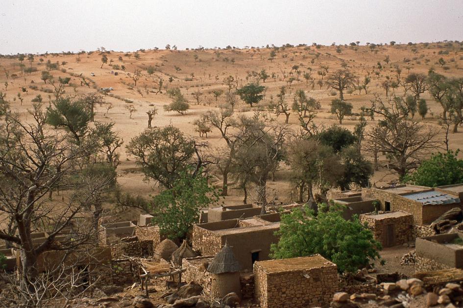 D:\DataFoto\Dia's - Reizen\1998-04-04 Mali - Burkina Faso\09 Dogonland\02 Tireli\Best Of\MaBu1274y.jpg