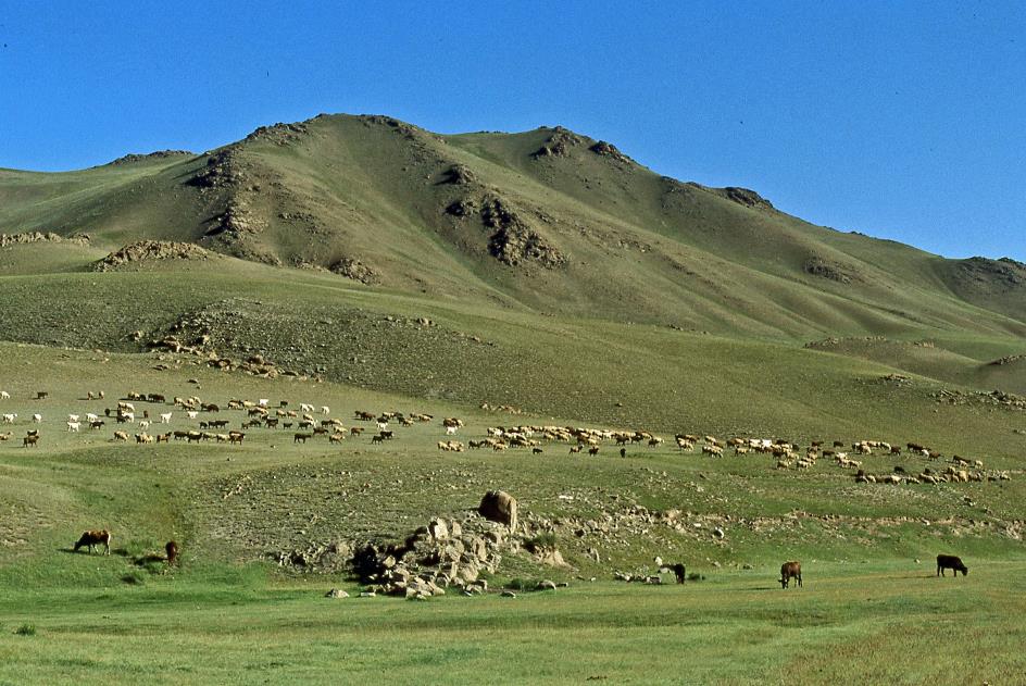 D:\DataFoto\Dia's - Reizen\1998-07-22 Zijderoute 2\15 Naar Kashgar\Best Of\Zyde2518y.jpg