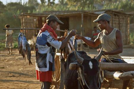 D:\DataFoto\Dia's - Reizen\2001-07-18 Madagaskar\15 Belo-sur-Tsiribihina\Best Of\Mada0471y.jpg