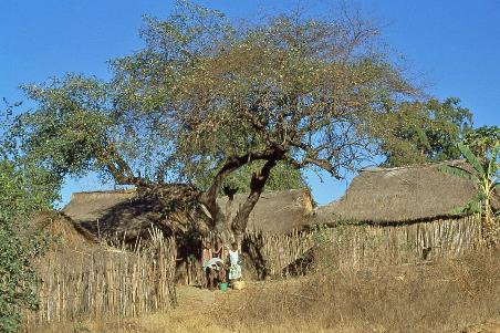 D:\DataFoto\Dia's - Reizen\2001-07-18 Madagaskar\14 Berevo\Best Of\Mada0444y.jpg