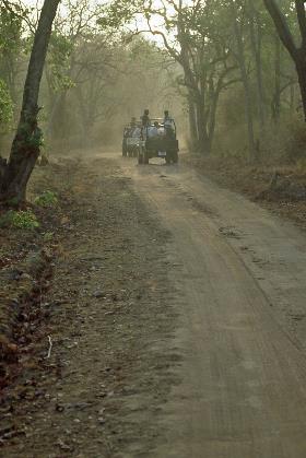 D:\DataFoto\Dia's - Reizen\2004-04-03 Orissa\03 Bandhavgarh (herschikt)\Best Of\NInd0088y.jpg