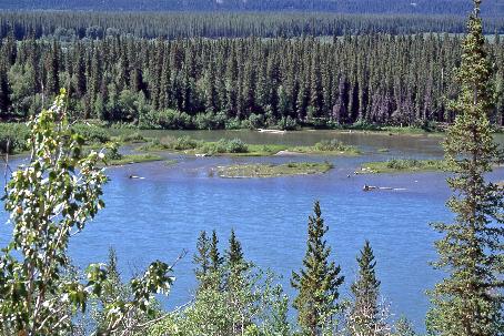 D:\DataFoto\Dia's - Reizen\2005-07-14 BC - Yukon - Alaska\07 Klondike Highway\Best Of\Alas1157y.jpg