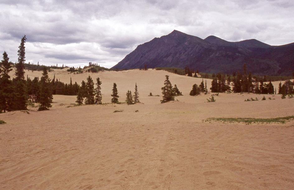 D:\DataFoto\Dia's - Reizen\2005-07-14 BC - Yukon - Alaska\07 Klondike Highway\Best Of\Alas1145y.jpg