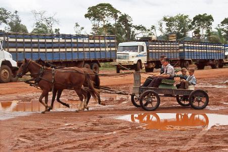 D:\DataFoto\Dia's - Reizen\2008-03-22 Misiones (herschikt)\23 Naar San Miguel\Best Of\Misi9726y.jpg