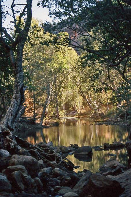 D:\DataFoto\Dia's - Reizen\2008-07-10 West-Australie\43 Bell Creek\Best Of\WAus0574y.jpg