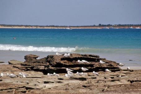 D:\DataFoto\Dia's - Reizen\2008-07-10 West-Australie\71 Broome\Best Of\WAus1063y.jpg