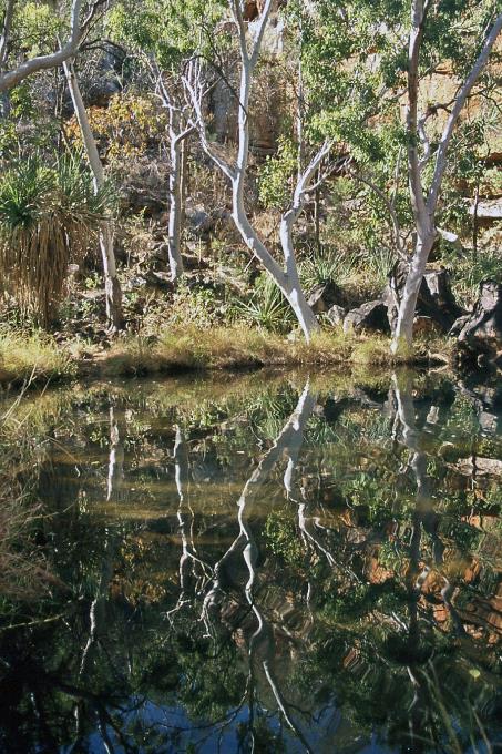 D:\DataFoto\Dia's - Reizen\2008-07-10 West-Australie\44 Galvans Gorge\Best Of\WAus0610y.jpg