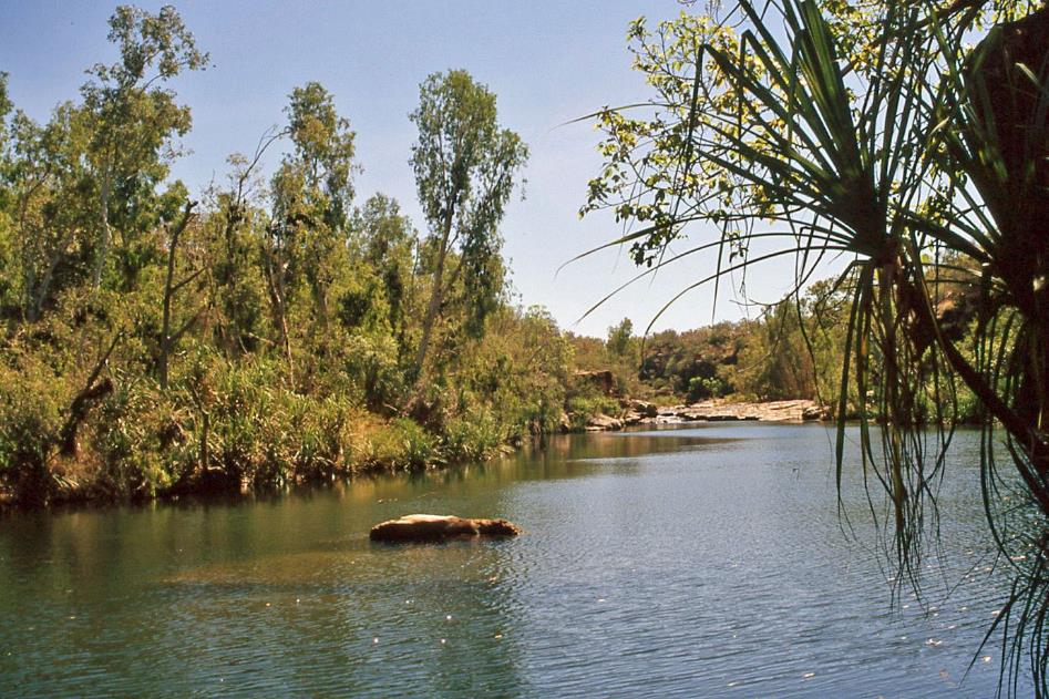 D:\DataFoto\Dia's - Reizen\2008-07-10 West-Australie\45 Barnett River Gorge\Best Of\WAus0619y.jpg