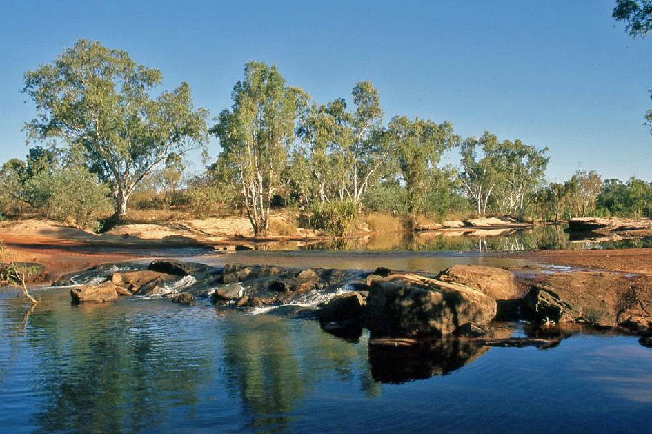 D:\DataFoto\Dia's - Reizen\2008-07-10 West-Australie\45 Barnett River Gorge\Best Of\WAus0628y.jpg