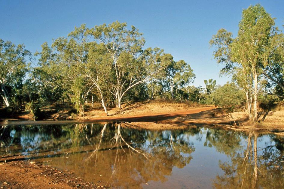 D:\DataFoto\Dia's - Reizen\2008-07-10 West-Australie\45 Barnett River Gorge\Best Of\WAus0629y.jpg