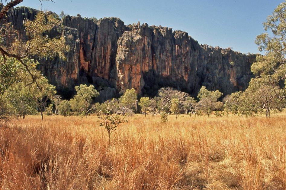 D:\DataFoto\Dia's - Reizen\2008-07-10 West-Australie\40 Windjana Gorge\Best Of\WAus0544y.jpg