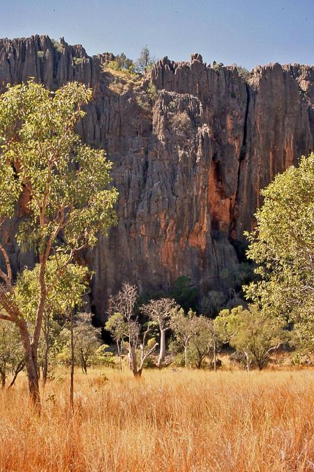 D:\DataFoto\Dia's - Reizen\2008-07-10 West-Australie\40 Windjana Gorge\Best Of\WAus0545y.jpg