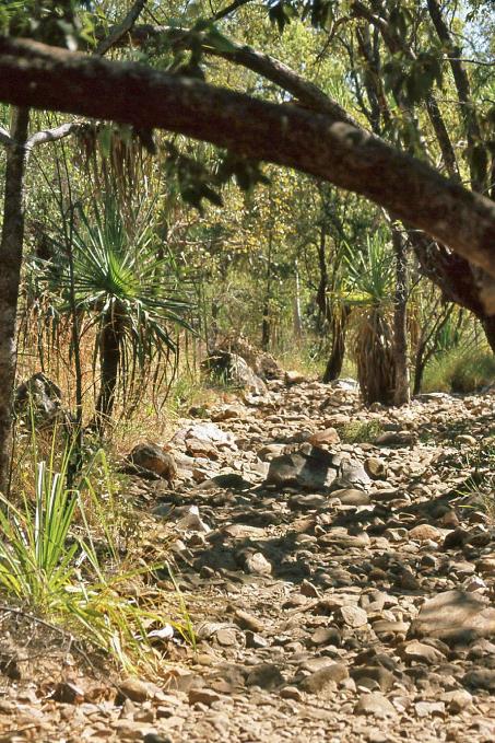 D:\DataFoto\Dia's - Reizen\2008-07-10 West-Australie\43 Bell Creek\Best Of\WAus0581y.jpg