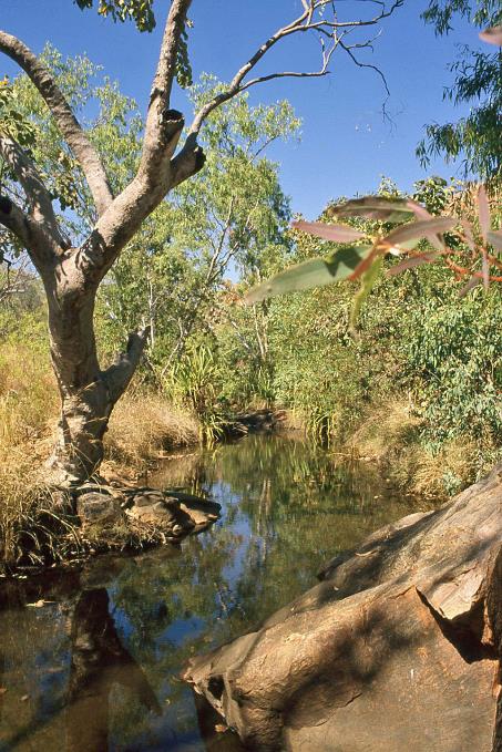 D:\DataFoto\Dia's - Reizen\2008-07-10 West-Australie\43 Bell Creek\Best Of\WAus0579y.jpg