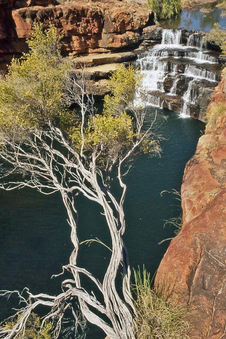 D:\DataFoto\Dia's - Reizen\2008-07-10 West-Australie\43 Bell Creek\Best Of\WAus0598y.jpg