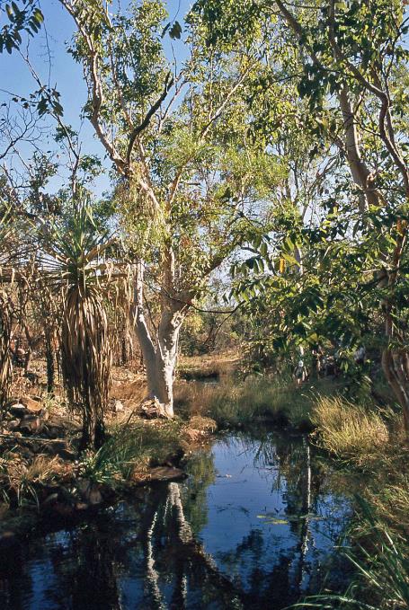 D:\DataFoto\Dia's - Reizen\2008-07-10 West-Australie\44 Galvans Gorge\Best Of\WAus0608y.jpg