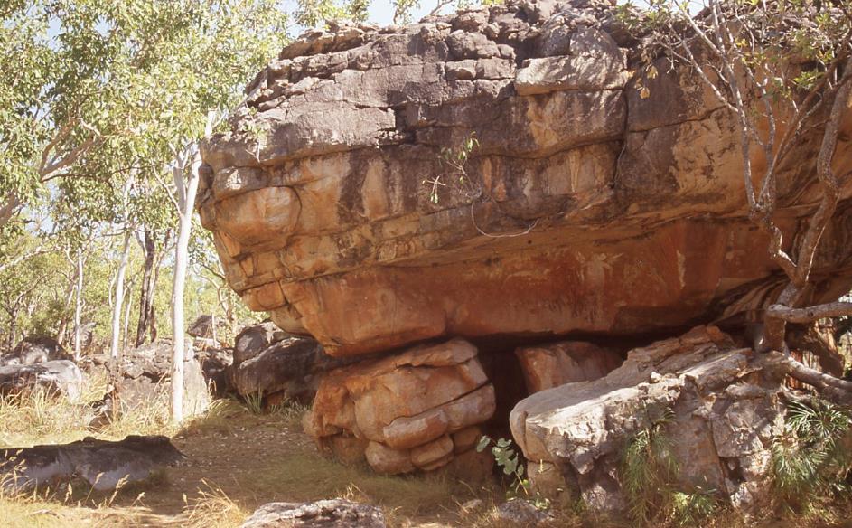 D:\DataFoto\Dia's - Reizen\2008-07-10 West-Australie\47 Mitchell Plateau\WAus0651.jpg