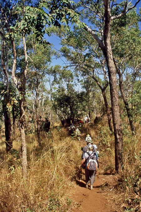 D:\DataFoto\Dia's - Reizen\2008-07-10 West-Australie\48 Mitchel Falls\Best Of\WAus0682y.jpg