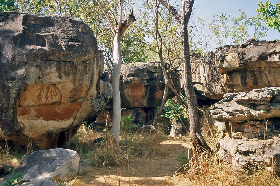 D:\DataFoto\Dia's - Reizen\2008-07-10 West-Australie\47 Mitchell Plateau\Best Of\WAus0653y.jpg