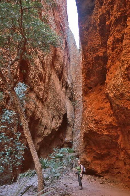 D:\DataFoto\Dia's - Reizen\2008-07-10 West-Australie\63 Echidna Chasm\Best Of\WAus0907y.jpg