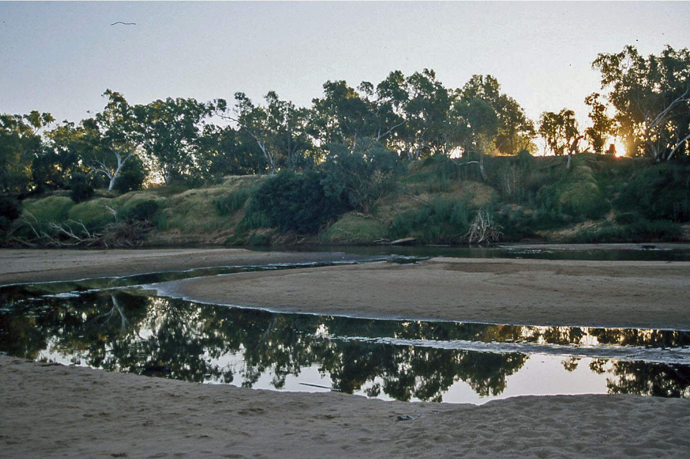 D:\DataFoto\Dia's - Reizen\2008-07-10 West-Australie\69 Fitzroy Crossing\Best Of\WAus0995y.jpg