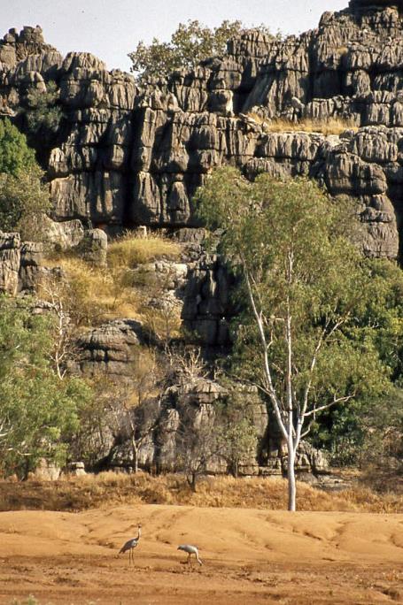 D:\DataFoto\Dia's - Reizen\2008-07-10 West-Australie\70 Geikie Gorge\Best Of\WAus1004y.jpg