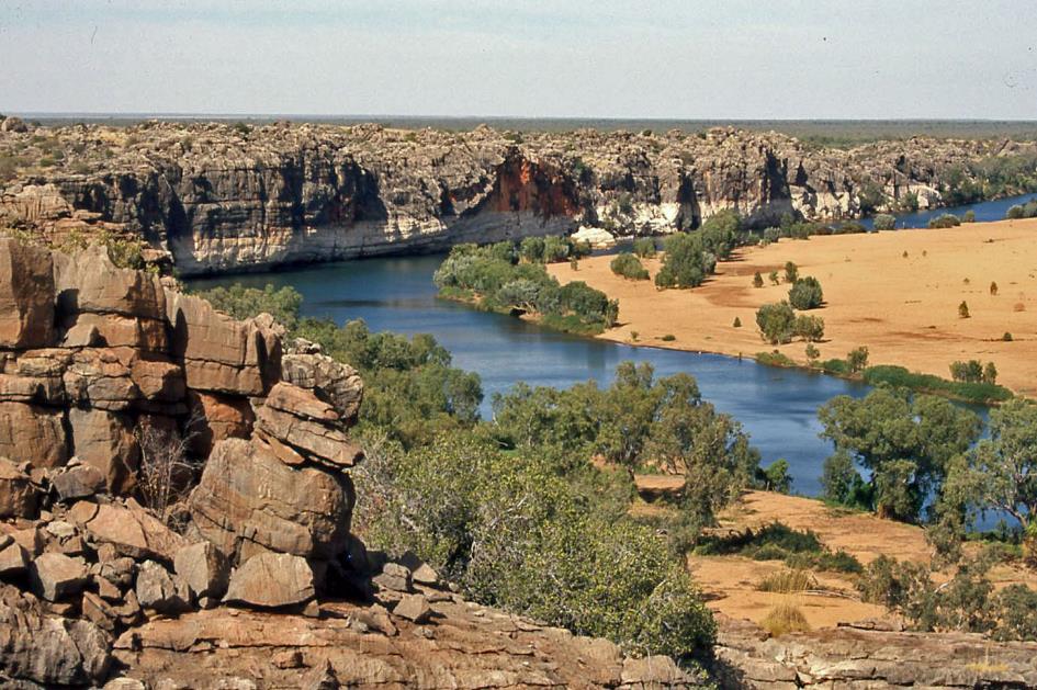 D:\DataFoto\Dia's - Reizen\2008-07-10 West-Australie\70 Geikie Gorge\Best Of\WAus1008y.jpg