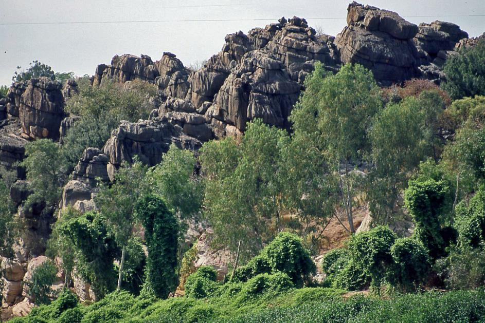 D:\DataFoto\Dia's - Reizen\2008-07-10 West-Australie\70 Geikie Gorge\Best Of\WAus1023y.jpg