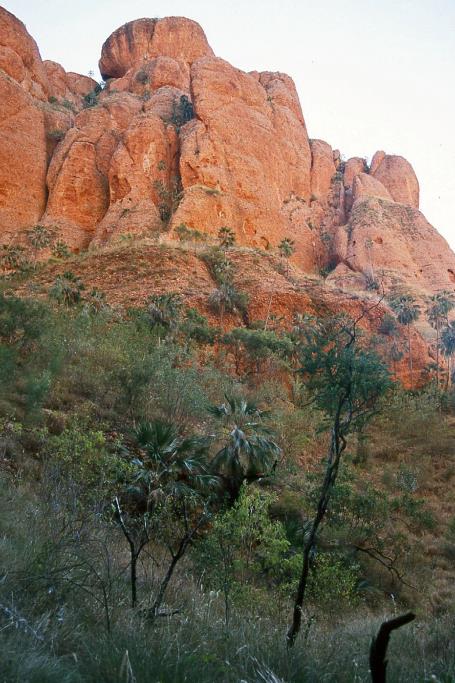 D:\DataFoto\Dia's - Reizen\2008-07-10 West-Australie\63 Echidna Chasm\Best Of\WAus0908y.jpg