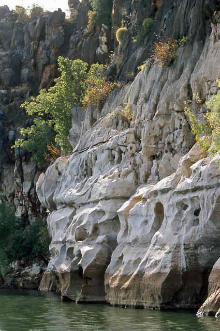 D:\DataFoto\Dia's - Reizen\2008-07-10 West-Australie\70 Geikie Gorge\Best Of\WAus0999y.jpg