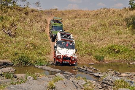 D:\DataFoto\Foto's - Reizen\2009-07-10 Kenia - Tanzania\04 MasaiMara\Best Of\KETA1290y.jpg