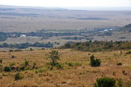 D:\DataFoto\Foto's - Reizen\2009-07-10 Kenia - Tanzania\04 MasaiMara\Best Of\KETA1578y.jpg