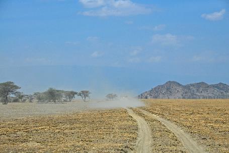 D:\DataFoto\Foto's - Reizen\2009-07-10 Kenia - Tanzania\06 Ngorongoro\Best Of\KETA2392y.jpg