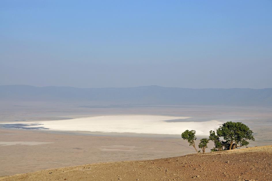 D:\DataFoto\Foto's - Reizen\2009-07-10 Kenia - Tanzania\06 Ngorongoro\Best Of\KETA2505y.jpg