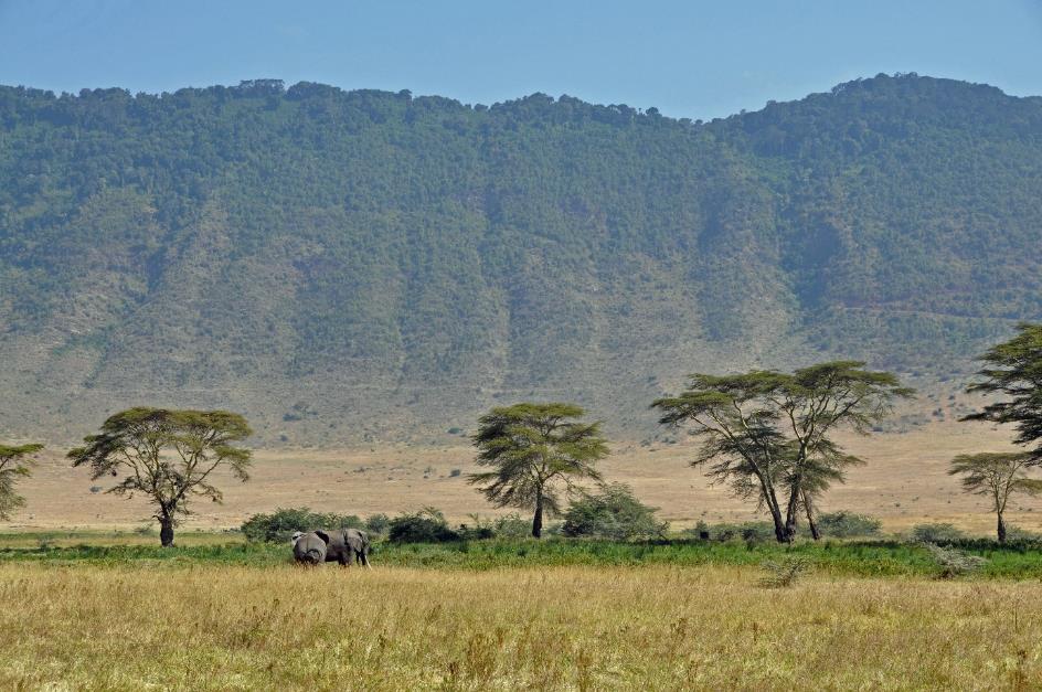 D:\DataFoto\Foto's - Reizen\2009-07-10 Kenia - Tanzania\06 Ngorongoro\Best Of\KETA2753y.jpg