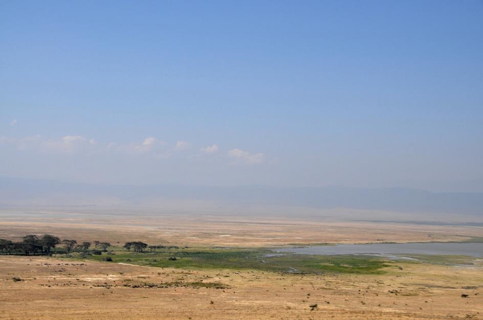 D:\DataFoto\Foto's - Reizen\2009-07-10 Kenia - Tanzania\06 Ngorongoro\Best Of\KETA2765y.jpg