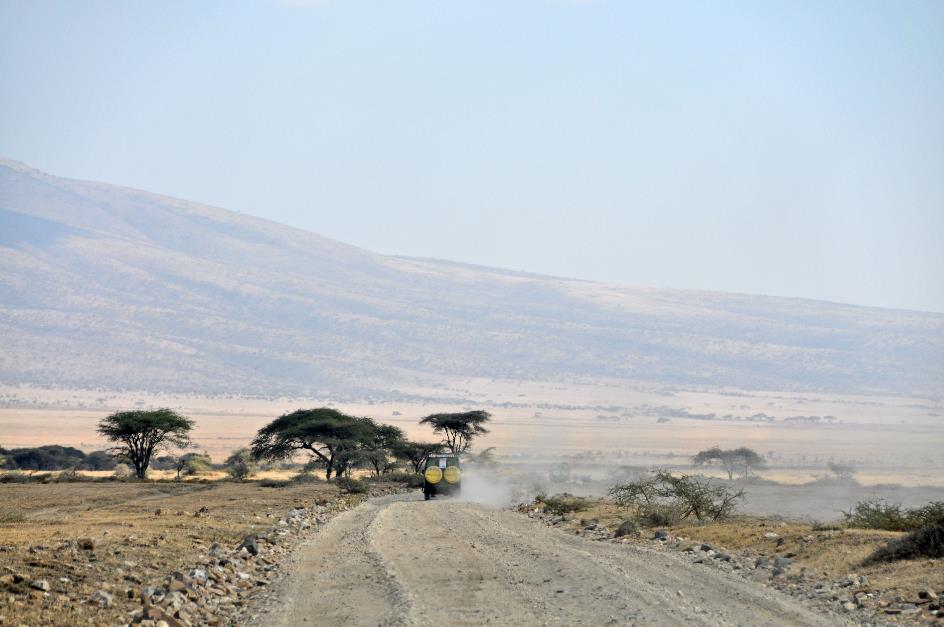 D:\DataFoto\Foto's - Reizen\2009-07-10 Kenia - Tanzania\06 Ngorongoro\Best Of\KETA2420y.jpg