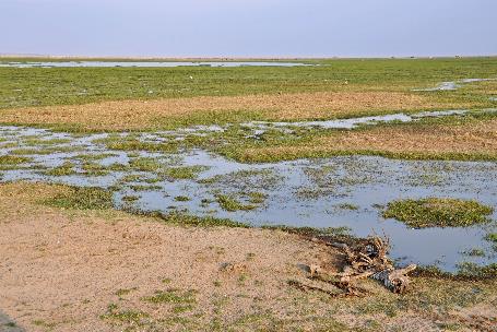 D:\DataFoto\Foto's - Reizen\2009-07-10 Kenia - Tanzania\08 Amboseli\Best Of\KETA3288y.jpg