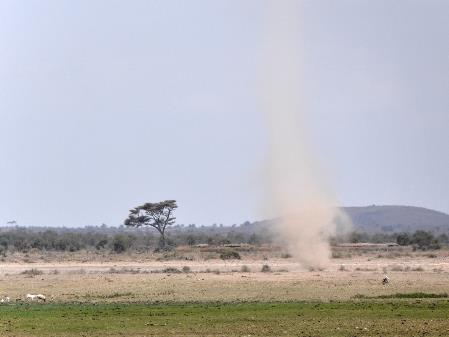 D:\DataFoto\Foto's - Reizen\2009-07-10 Kenia - Tanzania\08 Amboseli\Best Of\KETA3473q.jpg