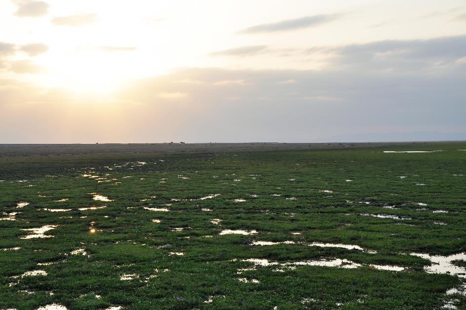 D:\DataFoto\Foto's - Reizen\2009-07-10 Kenia - Tanzania\08 Amboseli\Best Of\KETA3581y.jpg