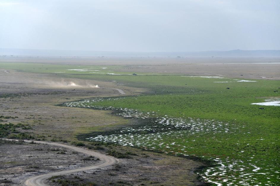 D:\DataFoto\Foto's - Reizen\2009-07-10 Kenia - Tanzania\08 Amboseli\Best Of\KETA3549y.jpg