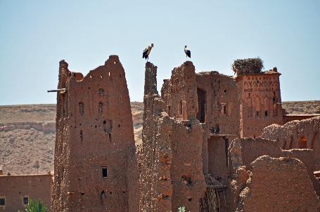 D:\DataFoto\Foto's - Reizen\2011-04-10 Marokko\02 Ait Ben Haddou\Best Of\MROK0192y.jpg