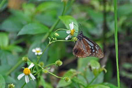 D:\DataFoto\Foto's - Reizen\2013-03-31 Taiwan (herschikt)\16 Lushui Trail\Best Of\TAIW1251y.jpg