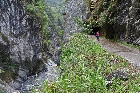 D:\DataFoto\Foto's - Reizen\2013-03-31 Taiwan (herschikt)\17 Baiyan Trail\Best Of\TAIW1275y.jpg