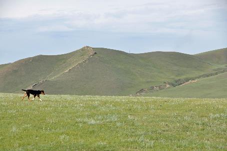 D:\DataFoto\Foto's - Reizen\2013-07-08 Mongolie\01 - Terelzj\MONG0153y.jpg