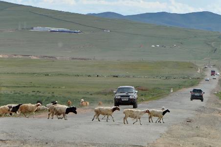 D:\DataFoto\Foto's - Reizen\2013-07-08 Mongolie\01 - Terelzj\MONG0167y.jpg