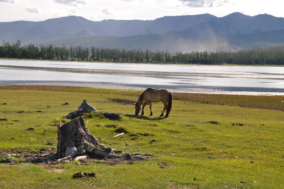 D:\DataFoto\Foto's - Reizen\2013-07-08 Mongolie\07 - Naar Khovsgol Nuur\Werkmap\MONG1058.JPG