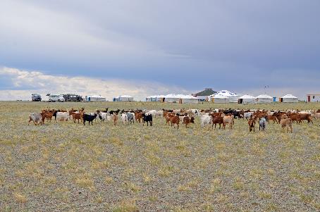 D:\DataFoto\Foto's - Reizen\2013-07-08 Mongolie\07 - Gobi 1\MONG1729y.jpg